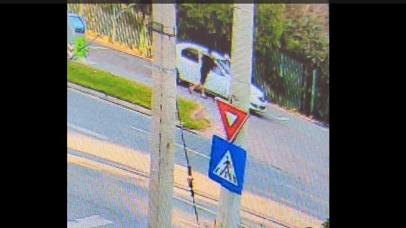 VIDEO Anchetatorii au obținut imagini de pe camere de supraveghere care surprind momentul când minorul de 17 ani urcă la volanul mașinii cu care a produs accidentul de lângă Parcul Pantelimon (surse)