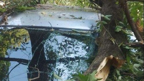 Un copac a distrus trei mașini în Hunedoara în timpul unei furtuni