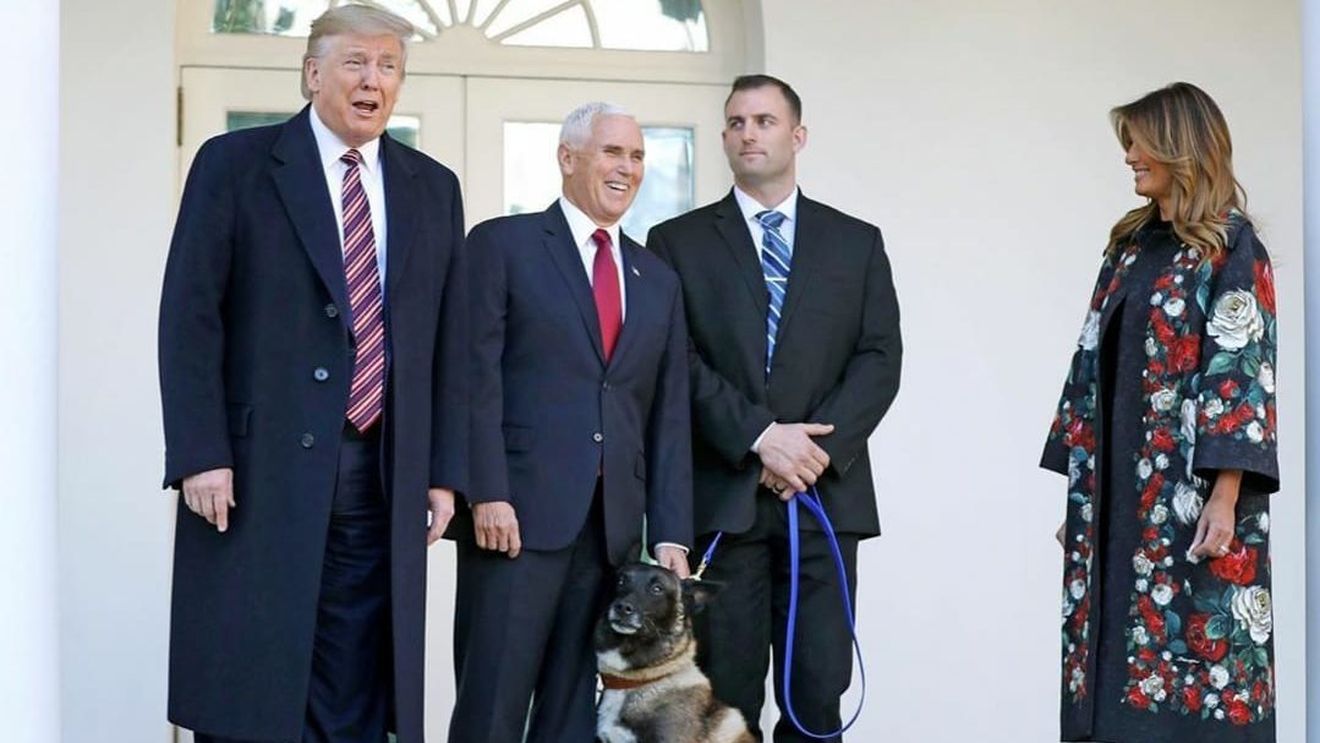 Trump l-a decorat pe Conan, ''câinele incredibil'' care a participat la raidul asupra lui al-Bagdadi