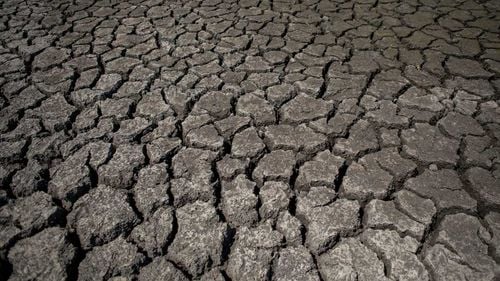 Valul de căldură a secat un lac din Serbia şi a declanşat incendii în Balcani