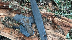 Mesaj RO-Alert în județul Tulcea marți seara / Ministerul Apărării: Au fost detectate semnalele unei drone în proximitatea spațiului aerian național / Mesaj similar și marți dimineață