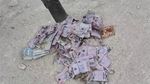 Peste 100 de permise de conducere românești, descoperite la o groapă de gunoi din Republica Moldova / Permisele sunt autentice, dar expirate / Urmau să fie topite și transformate în hârtie igienică
