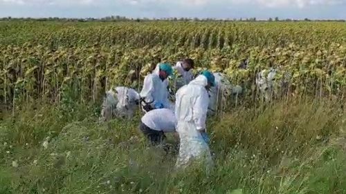 Un bebeluş a fost găsit mort pe un câmp din Bacău / Era învelit în haine şi pus în câteva pungi / Poliţiştii şi procurorii fac verificări
