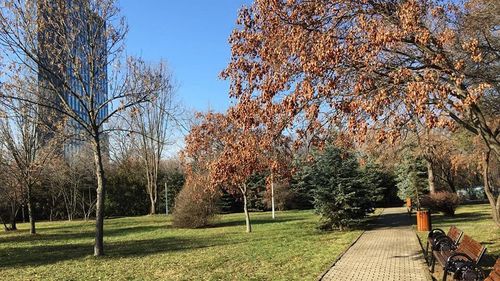 Clotilde Armand anunță inaugurarea unui nou parc în Sectorul 1, numit după Elisabeta Rizea, eroină a luptei anticomuniste