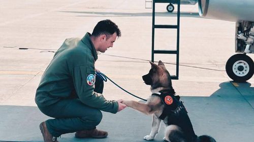 Un pilot de la baza aeriană din Cluj a murit în timp ce se afla în misiune la baza militară „Locotenent Aviator Gheorghe Mociorniță” din Borcea, după ce ar fi încercat să salveze un câine dintr-un bazin de colectare a apei