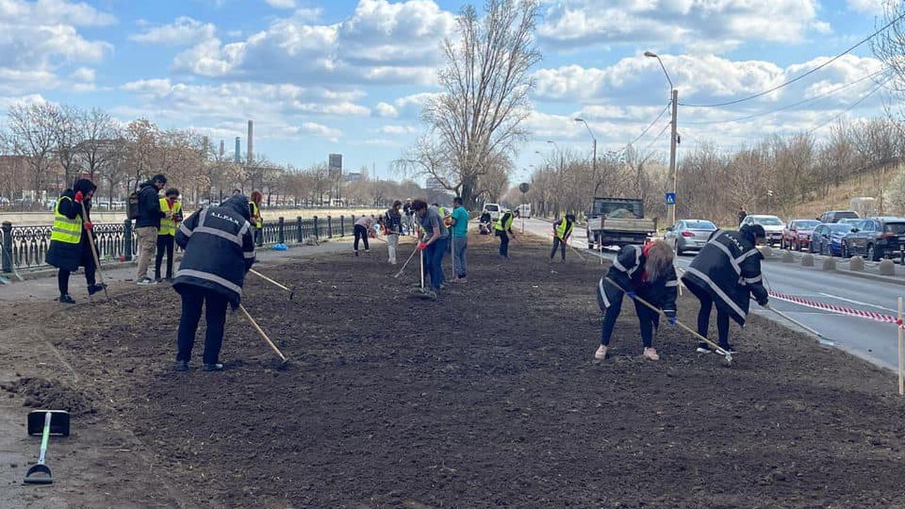 Nicuşor Dan: Angajaţii ALPAB au început plantarea de seminţe de flori pe aliniamentele stradale dintre Parcul Natural Văcăreşti şi Râul Dâmboviţa, iar din 8 aprilie vor planta în aceeaşi zonă arbori din speciile: frasin, tei, carpen