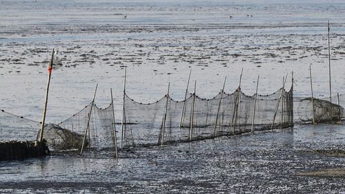 30 de pescari din Sfântu Gheorghe intenționează să dea statul în judecată din cauză că le este interzisă capturarea sturionilor