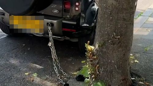 Proprietarii de Land Rover își leagă mașinile de copaci pentru a se feri de hoți. Furturile au explodat în Marea Britanie