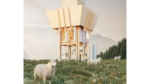 O ”stână progresistă”, un proiect nominalizat la premiile Bienalei de Arhitectură, e criticată de ciobani /”Nu se poate face așa ceva” / ”Ciobanii nu au terenurile lor atunci când pleacă în transhumanță”