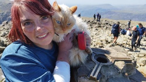 Louis, prima pisică din lume care a urcat pe trei vârfuri montane fără niciun ajutor. Felina este o vedetă internațională