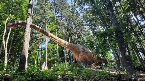 Vânătoare de ouă de dinozauri, la Dino Parc, în prima zi de Paște / Vor fi ascunse 300 de ouă de jucărie, care eclozează atunci când sunt puse în apă