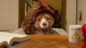 Peste 1000 de ursuleți Paddington aduși omagiu la moartea Reginei Elisabeta a II-a vor fi donați unei organizații caritabile pentru copii/ Cel mai longeviv monarh al Marii Britanii filmase un clip cu celebrul pui de urs cu ocazia jubileului de platină