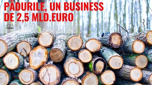 România, țara care își vinde ,,aurul verde’’ cu ochii închiși. Cum au ajuns pădurile un business de peste 2,5 miliarde de euro/ Numărul firmelor active în exploatare forestieră s-a dublat în ultimii zece ani - analiză Frames