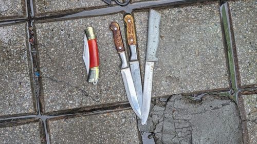 În Italia, părinţii ai căror copii sunt găsiţi având asupra lor cuţite vor putea fi amendaţi