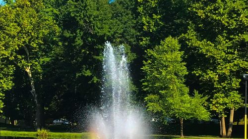 Fântâni arteziene ornamentale în valoare de peste 30 de milioane de lei vor fi amenajate în două parcuri din sectorul 3/ Proiectele au fost criticate de unele organizații civice