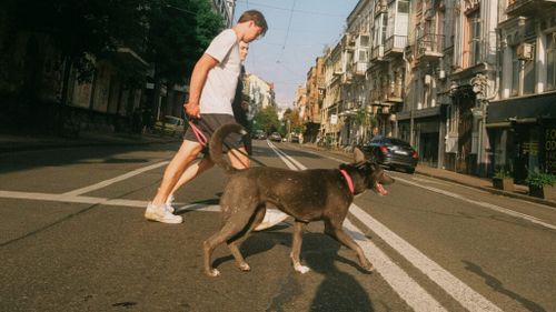 Statele Unite și Europa adoptă legi istorice pentru bunăstarea animalelor