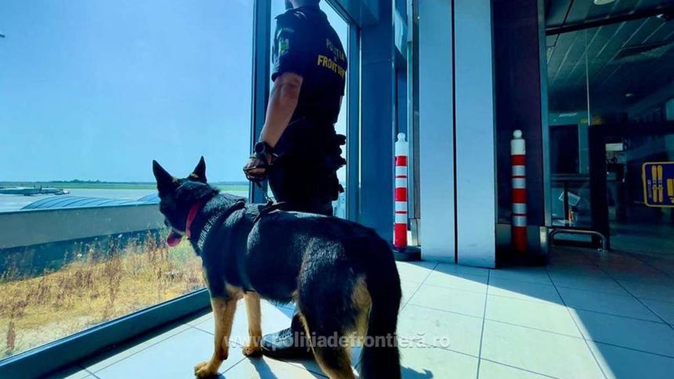 Poliţist de frontieră reţinut pentru punerea în circulaţie a unor bancnote contrafăcute / Omul legii ar fi intrat în posesia a 10.000 de euro falși, oferind o parte din sumă altei persoane, în acelaşi scop