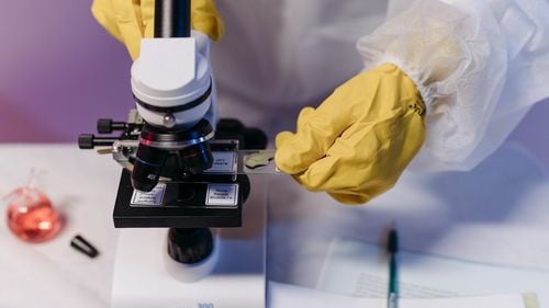 O mutație minoră a unei gene ar fi cauza unei boli de care suferă o treime din populație: steatoza hepatică sau ”ficatul gras”. Descoperirea reprezintă o schimbare majoră în înțelegerea mecanismului molecular