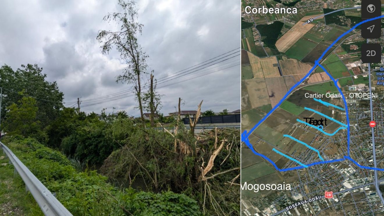 FOTO Distrugere agresivă a vegetației de pe canalele de desecare din orașul Otopeni, care au devenit, în 40 de ani, culoare verzi ale orașului/ Locuitorii au depus petiții și ghiduri ca să oprească buldozerele