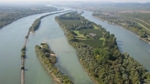 Traficul se aglomerează de-a lungul Rinului după defectarea motorului unei nave / Aproximativ 20 de vase sunt blocate pe fluviul german, afectat deja din cauza secetei: „Se face cale întoarsă”