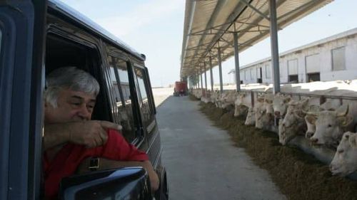 Cunoscut fermier, acuzaţii dure pentru guvern în scandalul pestei porcine africane: Am avertizat încă din 2016 că din Ucraina vin mistreţi bolnavi, n-aţi făcut nimic