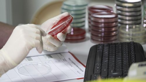 Două noi tratamente împotriva coronavirusului dau rezultate încurajatoare în Franța și SUA
