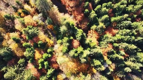 Minus 10,2 grade Celsius s-au înregistrat, marți dimineață, la Miercurea-Ciuc. Meteorologii anunță dimineți la fel de figuroase în zilele următoare