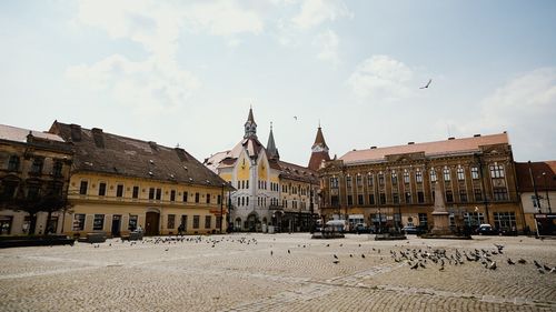 Procurorii DNA la Primăria Timișoara / Se ridică documente în legătură cu organizarea unor concursuri de angajare / Primarul Dominic Fritz a anunţat în trecut că a sesizat DNA