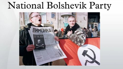 Curtea Europeană a Drepturilor Omului a condamnat Rusia pentru dizolvarea Partidului Național Bolșevic