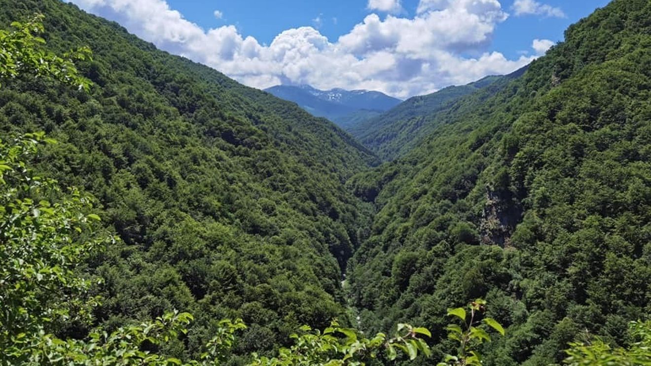 Yellowestone de Făgăraș: Un grup de filantropi cumpără mari suprafețe de teren într-unul din cele mai importante ecosisteme sălbatice din Europa