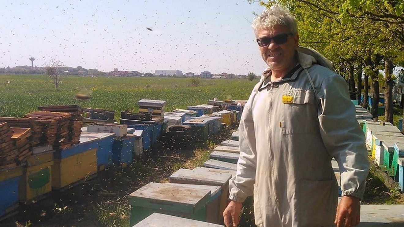 Impactul trecerii în online asupra micilor afaceri: un apicultor și-a salvat businessul prin vânzările pe net după ce târgurile s-au închis