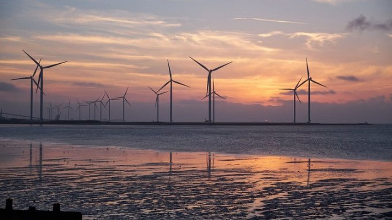 Producătorii de energie verde din Republica Moldova reclamă un tratament incorect din partea guvernului