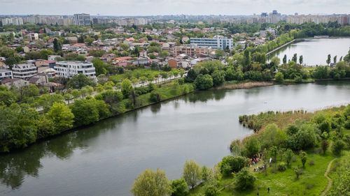 Ciprian Ciucu anunţă că vor fi extinse pajiştile urbane cu flori de câmp în București