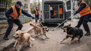 Senat: Proiectul de lege care ar fi permis firmelor private să captureze câini din orice colț al țării a fost scos de pe ordinea de zi și retrimis la comisii
