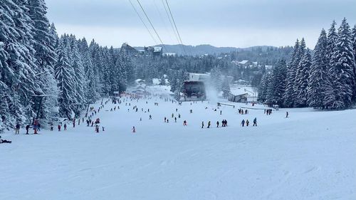 Se scumpește transportul pe cablu în Poiana Brașov / Prețul pentru adulți ajunge la 40 de lei pentru o singură urcare / În Cortina d'Ampezzo, stațiune care găzduiește o parte din probele Olimpiadei de Iarnă din 2026, prețul este de 77 de euro pe zi