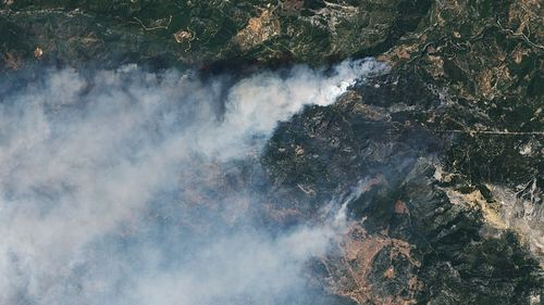 Cel puţin 26 de persoane au murit şi alte câteva zeci au fost rănite în incendii forestiere, în Algeria / Mai multe persoane au suferit arsuri sau dificultăţi de respiraţie