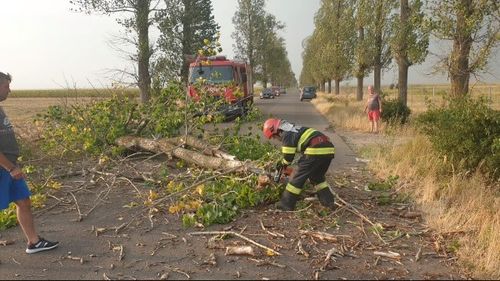 UPDATE Circulaţie blocată pe DN 54, în judeţul Olt. Mai mulţi copaci au căzut pe șosea. Au fost avariate autovehicule