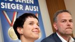Partidul german de extremă dreapta AfD încearcă să se rebranduiască, pe măsură ce puterea reală devine accesibilă