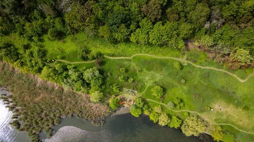 Consiliul Local al Sectorului 2 cere CGMB instituirea regimului de arie naturală protejată pentru Pajiştea Petricani