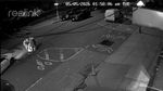 VIDEO | Mister subteran în New York: Grupuri de bărbați intră noaptea în rețeaua de canalizare / „Arătau ca Țestoasele Ninja”