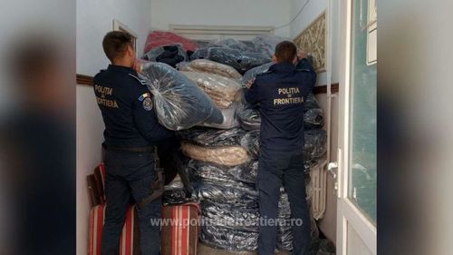 Haine contrafăcute în valoare de 3,5 milioane de lei, descoperite de poliţiştii de frontieră din Constanța / Erau ascunse într-un camion care transporta seminţe de floarea soarelui