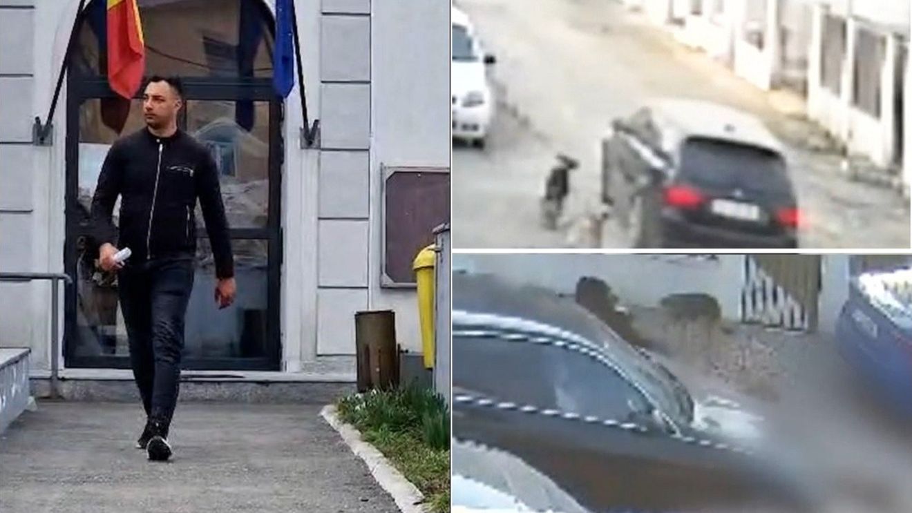 Subofițerul MApN, care a ucis un câine cu mașina, lăsat în libertate. De ce instanța a respins arestul la domiciliu. „Nu putem accepta asta. Cerem ca viața unui animal să nu fie ignorată”