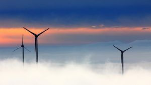 Energia regenerabilă din SUA va înregistra o creştere record în acest an, în pofida opoziției administrației Trump