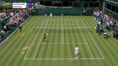 Activiștii de mediu au întrerupt un meci de la turneul de tenis de la Wimbledon. Protest cu confetti și piese de puzzle