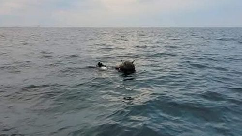 Ministerul Apărării contrazice Rusia privind proveniența minelor din Marea Neagră: Situația creată de minele marine în derivă are la origine exclusiv acțiunile Federației Ruse împotriva unui stat suveran și independent, Ucraina