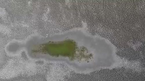 Efectele secetei prelungite: seacă ”Delta din Carpați” și Delta Văcărești / Apa se evaporă, peștii mor, iar mai multe specii de păsări sunt în pericol / ”Întregul ecosistem se va distruge” / Canicula va continua și în această săptămână