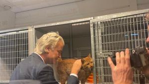 Alegeri parlamentare în Țările de Jos (Olanda): Partidul Libertății (PVV, extrema dreaptă) condus de Geert Wilders pe primul loc cu 35 de mandate din 150 - Exit Poll