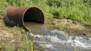 ANALIZĂ | Apa uzată în agricultură: un model de economie circulară sau o problemă ecologică? / Daniel Buda: „Conform unei estimări, până în 2030, jumătate dintre bazinele hidrografice ale Europei ar putea suferi din cauza deficitului de apă”
