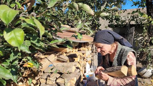 Investigație WWF: Piața lemnului de foc s-a blocat, ilegalitățile au explodat, oamenii simpli plătesc prețul / ”Am lemn dar nu-l pot vinde, că nu am cum. L-am cumpărat cu 650 din zona Sibiului și mă obligă să-l vând cu 400. Așa că eu și alți prieteni am luat o pauză”