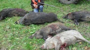 Romsilva anunță venituri de 34 de milioane de lei din vânătoare şi vânzarea fructelor de pădure, a trufelor şi plantelor medicinale / Din vânătoarea și valorificarea cărnii de vânat s-au obținut peste 5,06 milioane de lei
